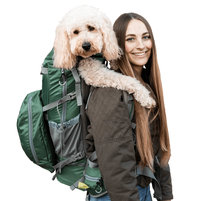Woman wearing the myrtle green Kolossus, a curly-coated dog resting its head and paws on her shoulder