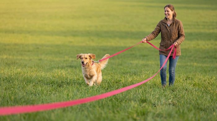 Woman in a meadow calling her golden retriever back along the Splash BioThane long line in Neon Pink