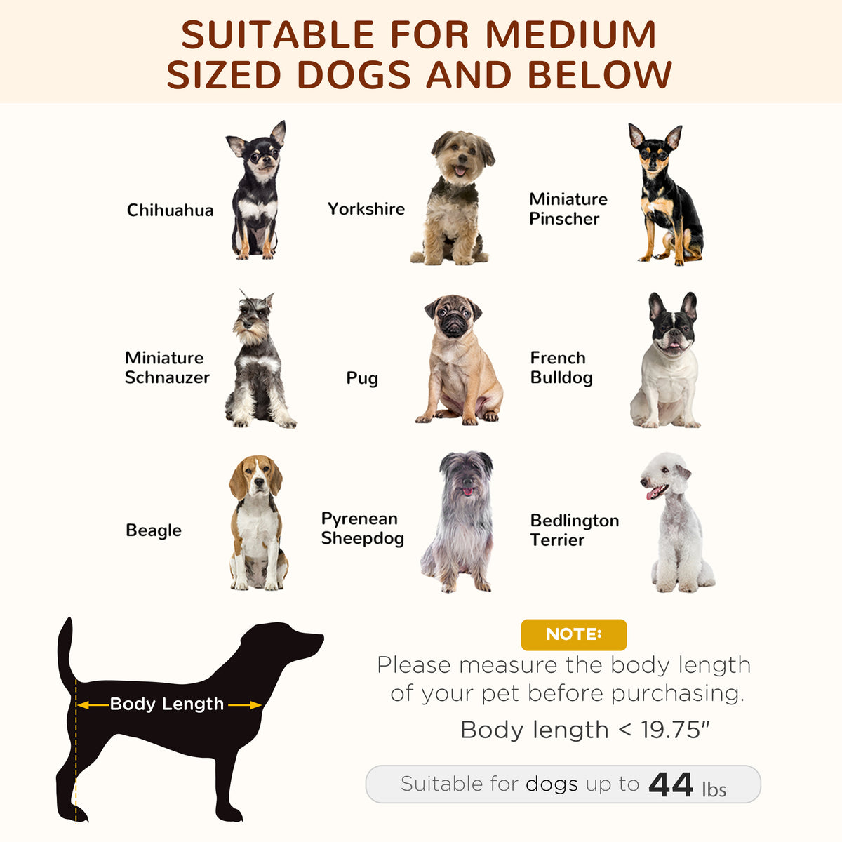 Elevated Outdoor Dog Cot with Canopy for Cool Shade — view 3