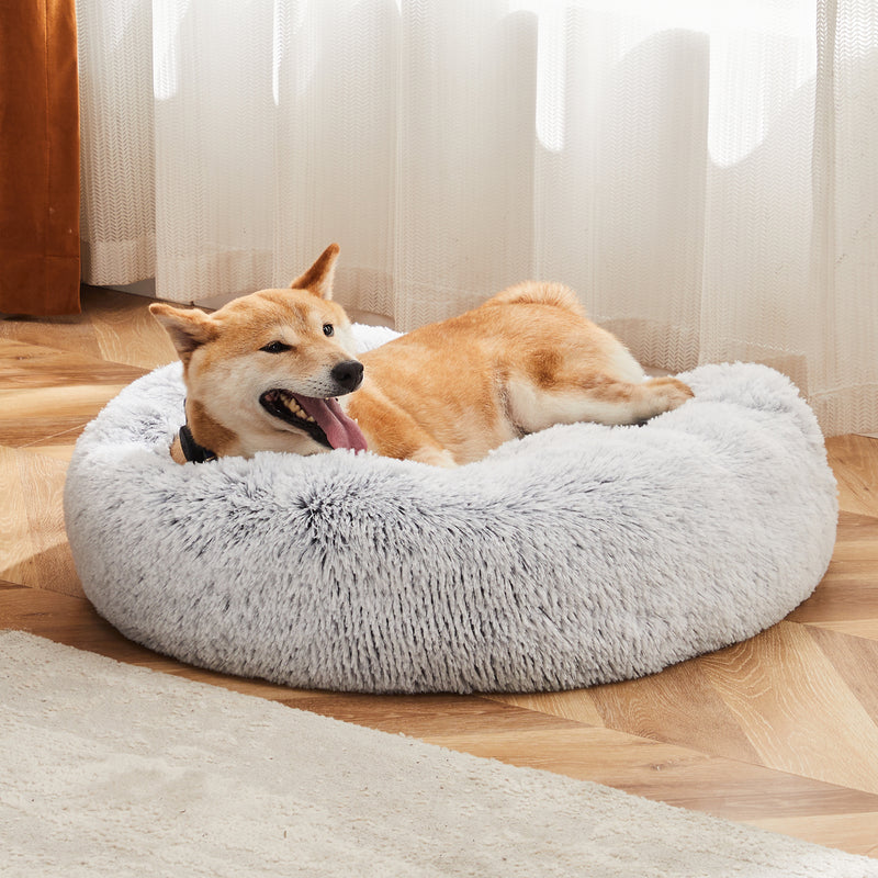 Indoor Pet Gear
