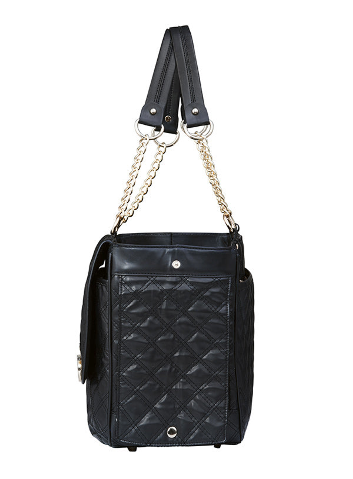 Coco Pet Carrier