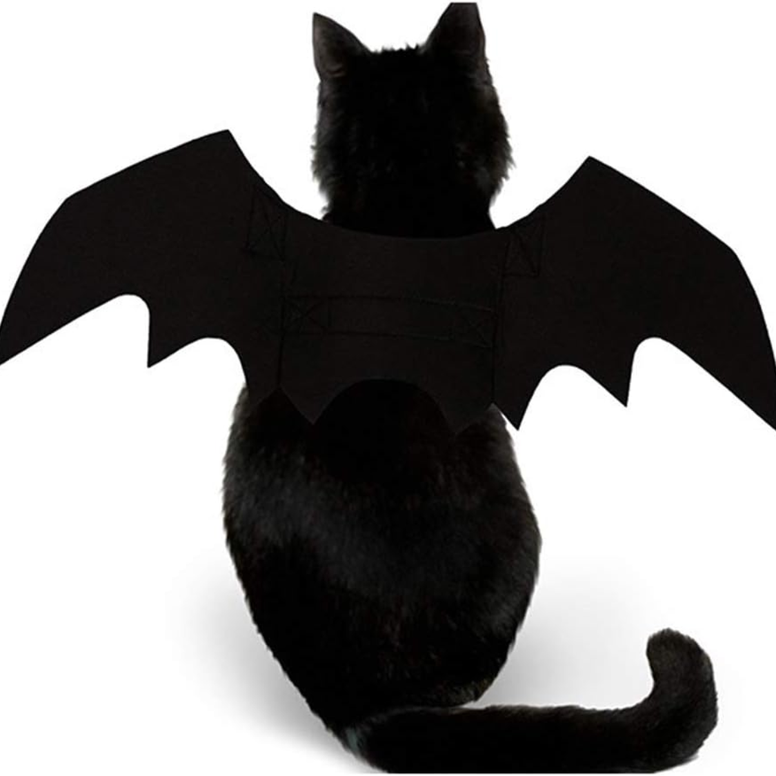 Lightweight Bat Wings Costume for Cats and Small Dogs — view 3