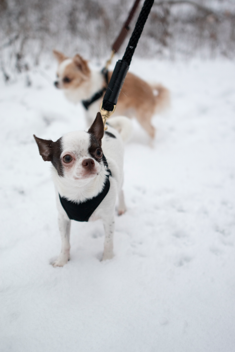 Shearling Fur Grip
