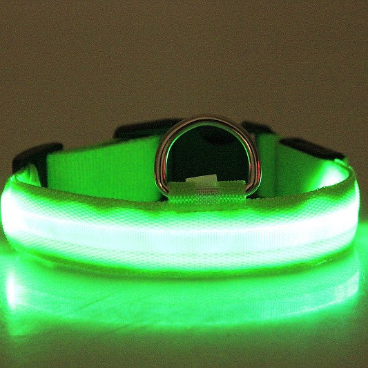 Red LED Light-Up Dog Collar for Night Walks (XXS)