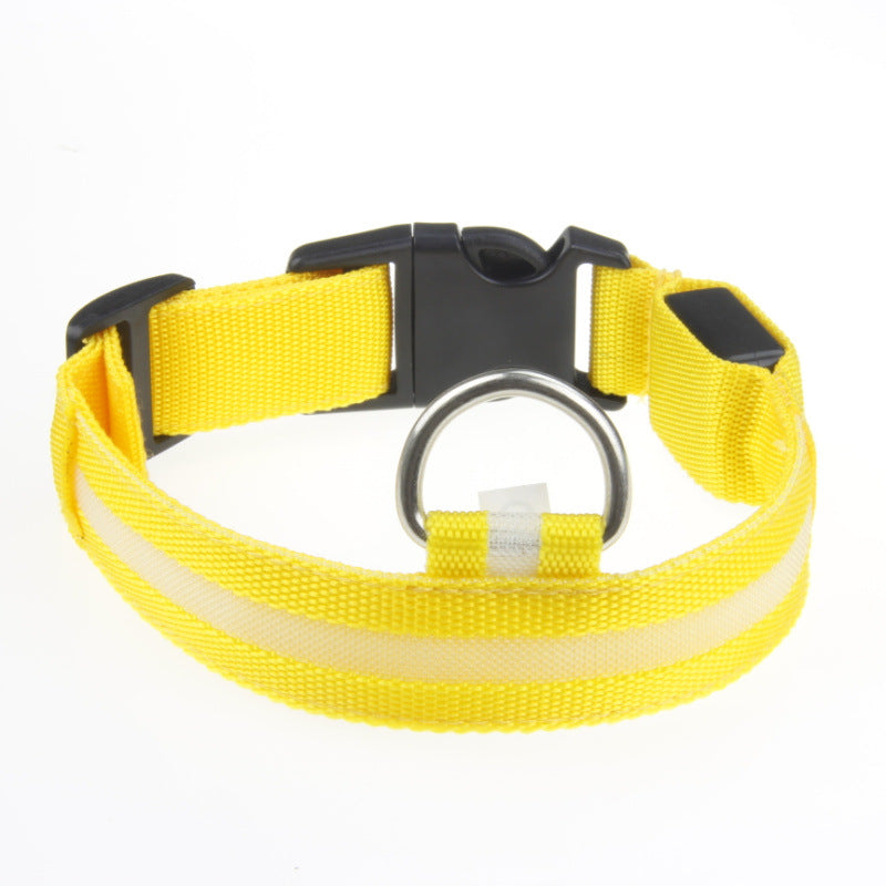 Red LED Light-Up Dog Collar for Night Walks (XXS)