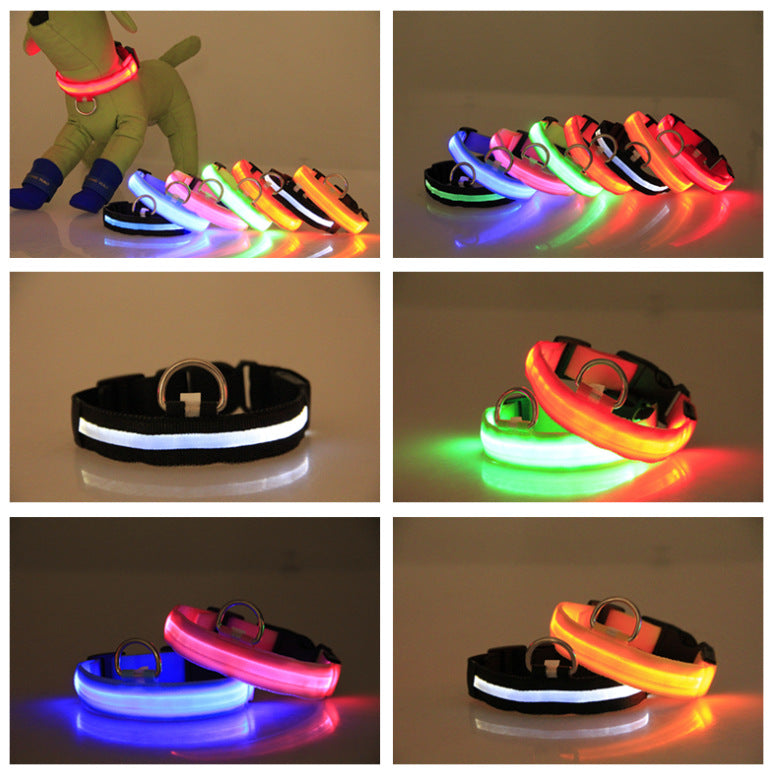Red LED Light-Up Dog Collar for Night Walks (XXS)