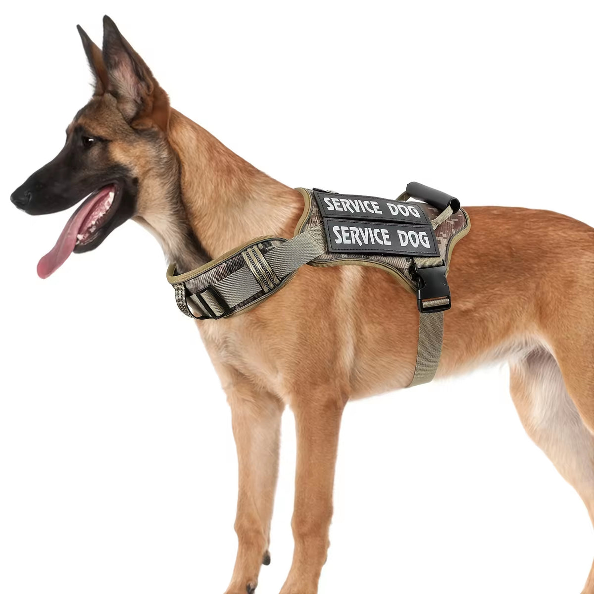 Belgian Malinois wearing the camo service dog vest harness