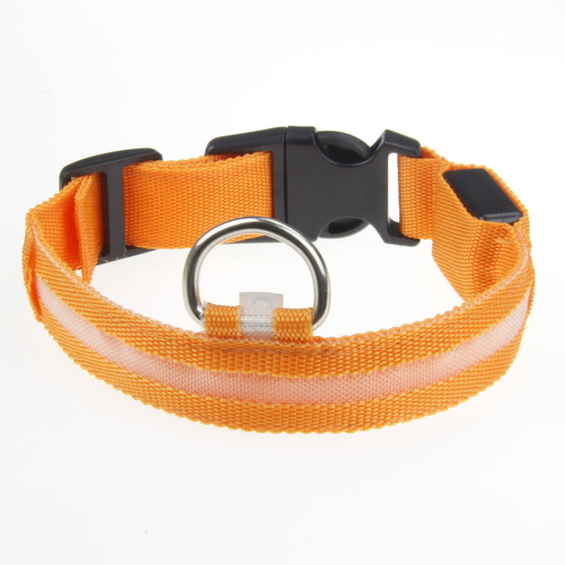 Red LED Light-Up Dog Collar for Night Walks (XXS)