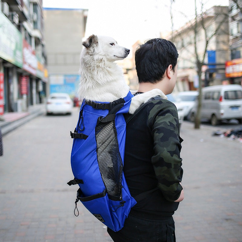 Double Shoulder Pet Carrier Backpack