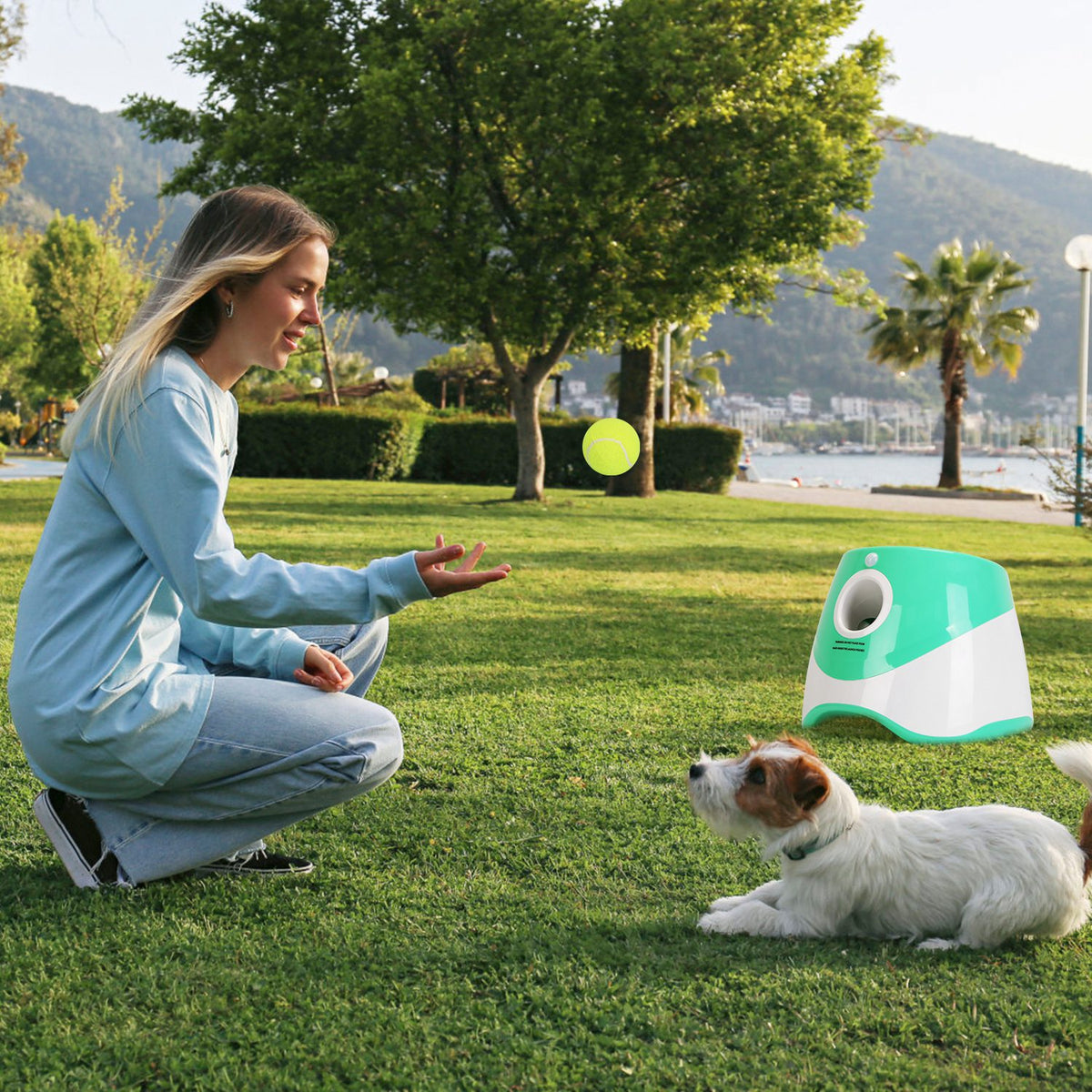 Automatic Dog Ball Launcher with 6 Tennis Balls — view 3
