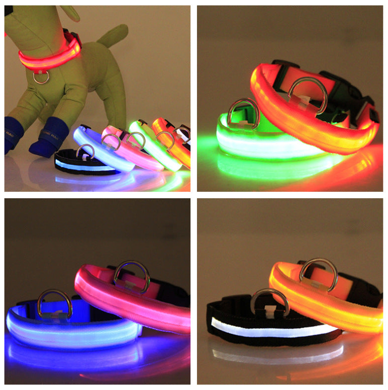 Red LED Light-Up Dog Collar for Night Walks (XXS)