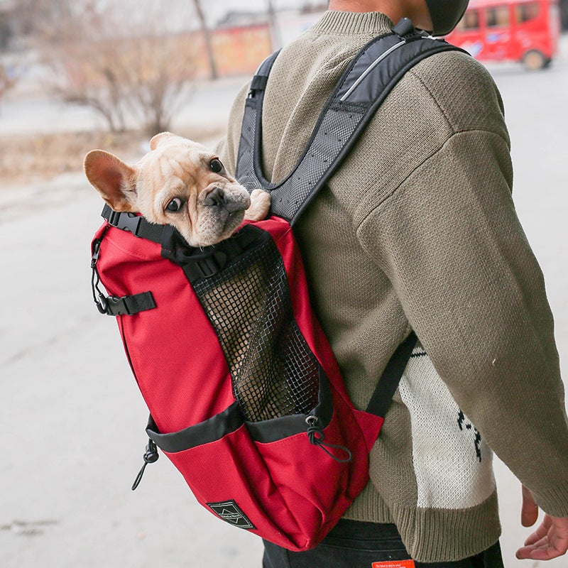 Double Shoulder Pet Carrier Backpack