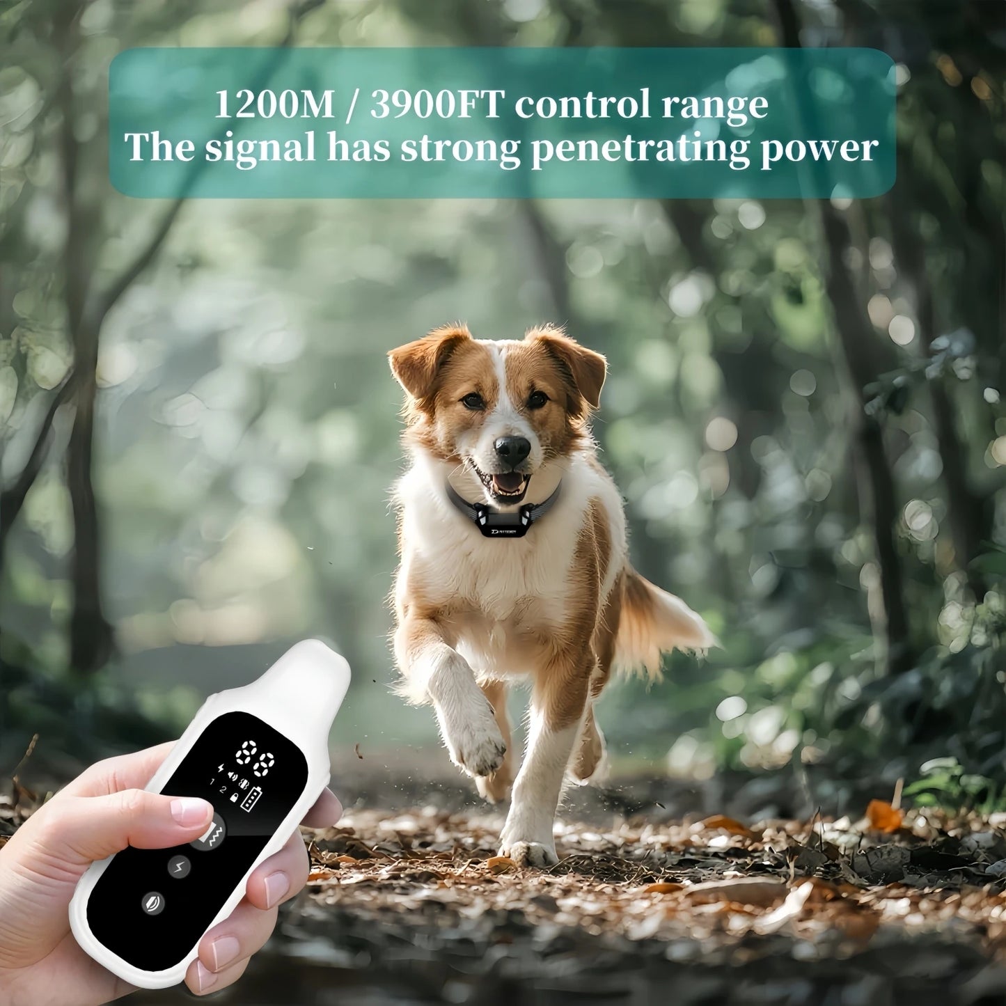 Waterproof Digital Dog Training Collar with Remote (800m)