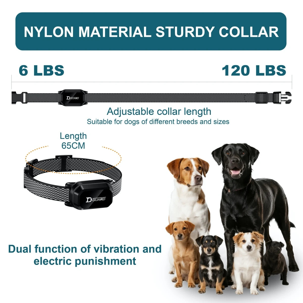 Waterproof Digital Dog Training Collar with Remote (800m)