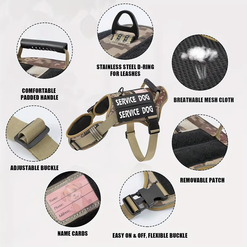 Feature callouts: top handle, metal D-ring, mesh lining, patch panels, name card pocket and buckles
