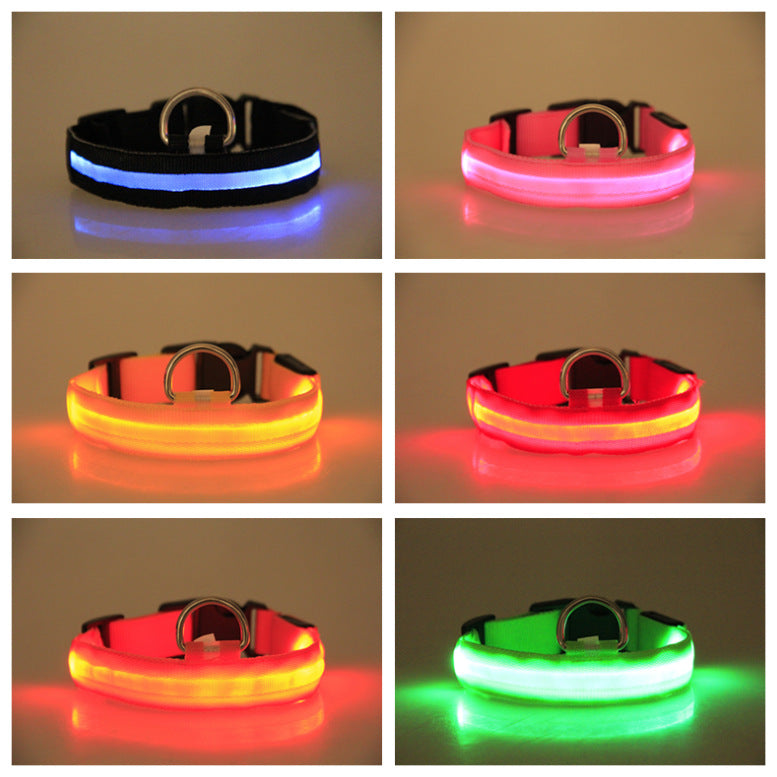 Red LED Light-Up Dog Collar for Night Walks (XXS)