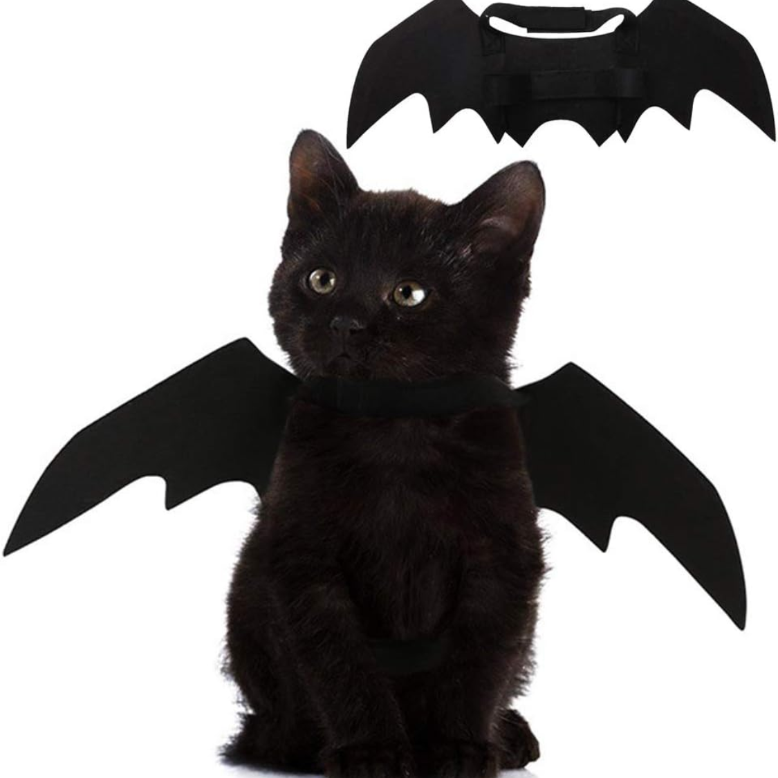 Lightweight Bat Wings Costume for Cats and Small Dogs