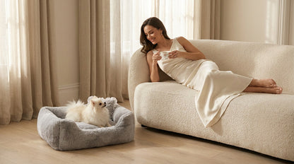 Woman relaxing on a cream sofa while her small white dog rests in the Divine bolster dog bed in Dove grey