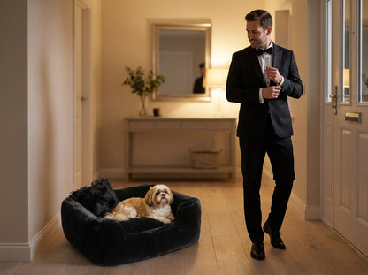 Man in a tuxedo heading out for the evening, his Shih Tzu settled in the Divine bolster dog bed in Black by the door