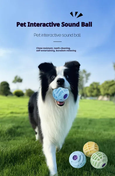 Interactive Squeaky Sound Ball for Dogs and Cats — view 2