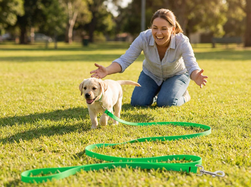 Woman kneeling in a park with arms open as her Labrador puppy runs to her, the Neon Green long line trailing across the grass